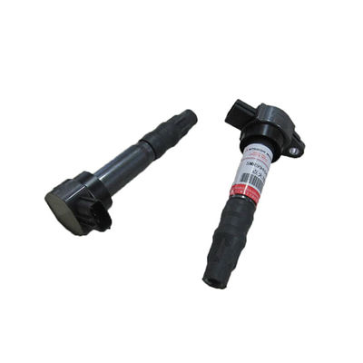 Auto Parts Ignition Coil OE NO. 3640100 for BYD F6 483Q to Meet Customer Requirements